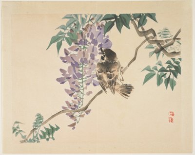 Sparrow on a Wisteria Branch by Kono Bairei